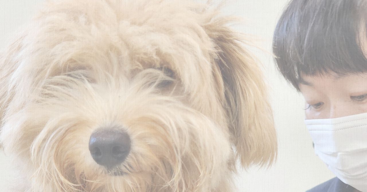 ワンちゃんの健康と笑顔を第一に